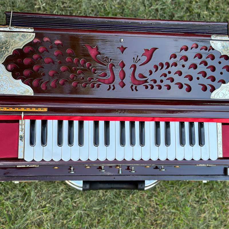 Harmonium trocador de escala
