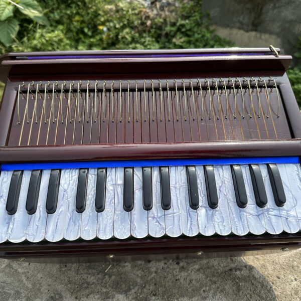 Harmonium Harinam 2,5 Octaves - Image 6